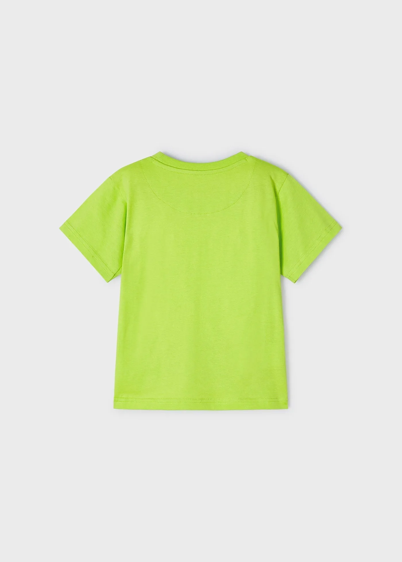 3004 - S/s van tshirt for boy - Kiwi