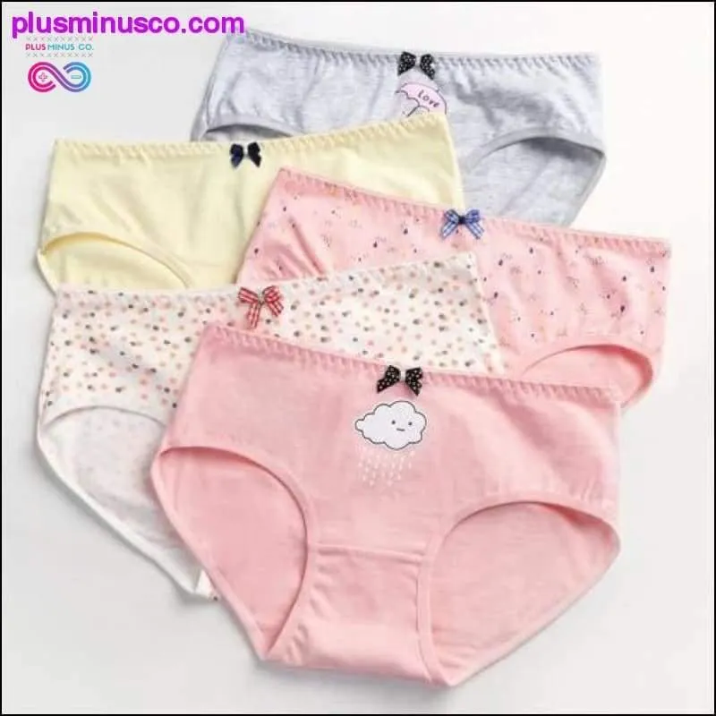 5Pcs/lot New Panties Women Underwear Cotton Briefs Seamless